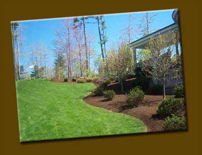 Plant Mulch Co. Inc, logo