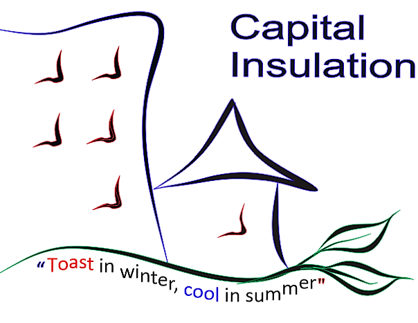 Logo for Capital Insulation