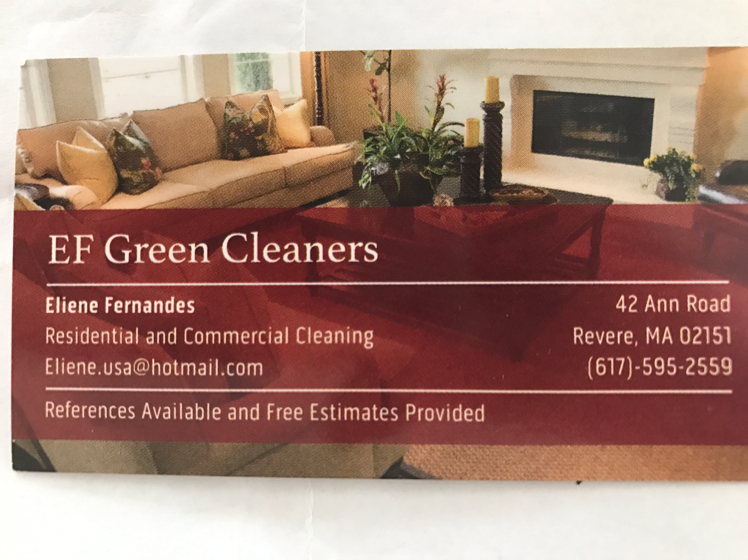 Logo for EF Green Cleaners