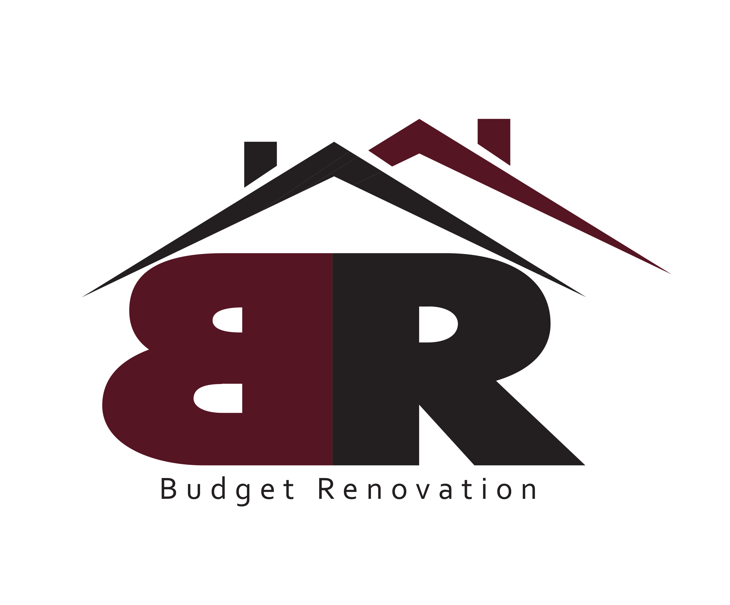 Budget Renovation LV//Pro Services logo