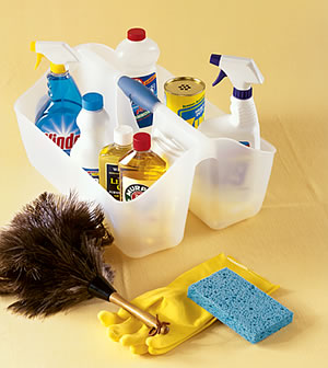 Tip Top Cleaning Services, LLC logo