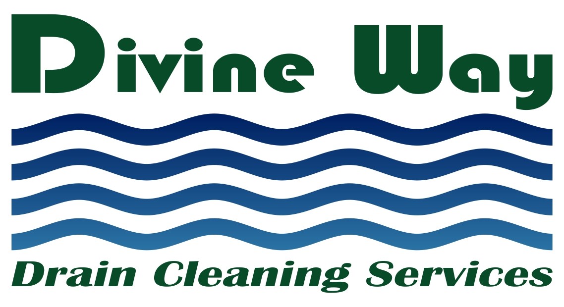 Logo for Divine Way Drain Cleaning Services