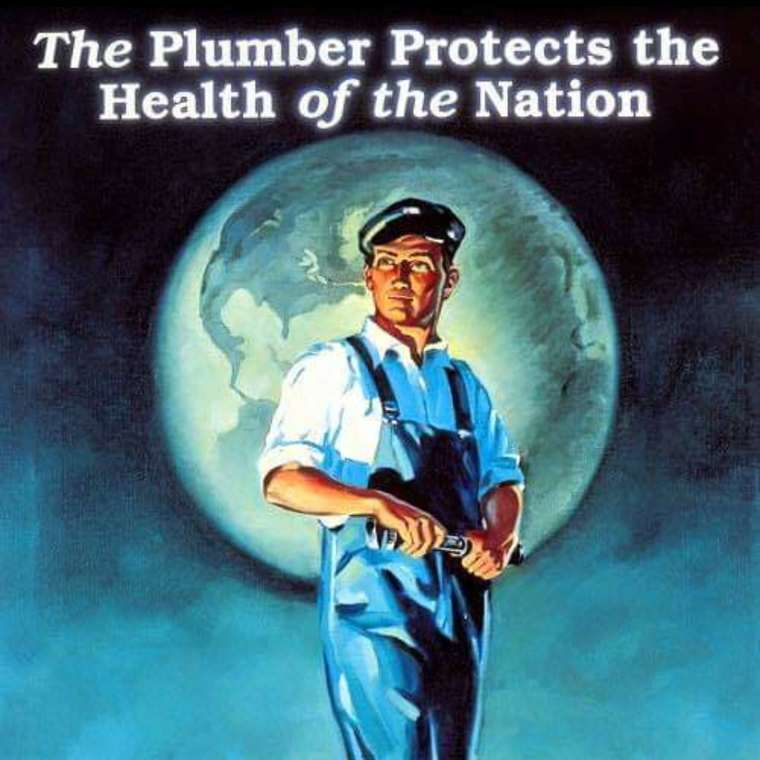 Logo for Professional Plumbing & Piping