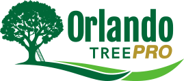 Logo for Orlando Tree Pro