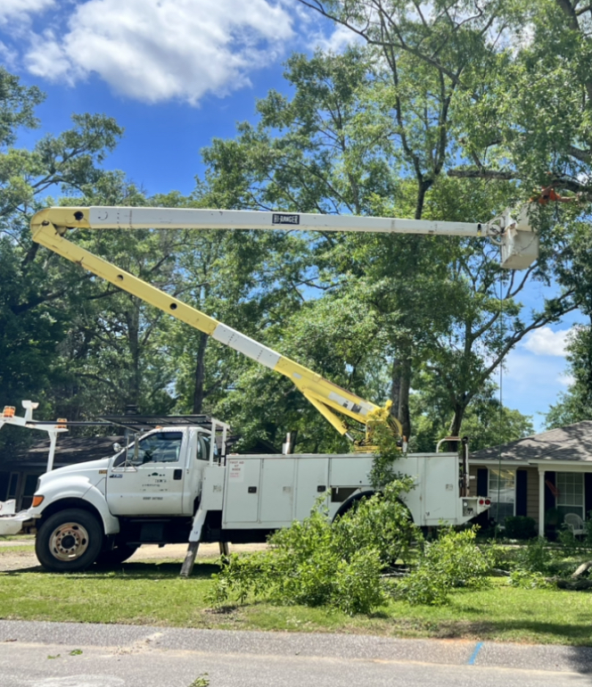 Avatar for Denham Tree & Landscaping Service
