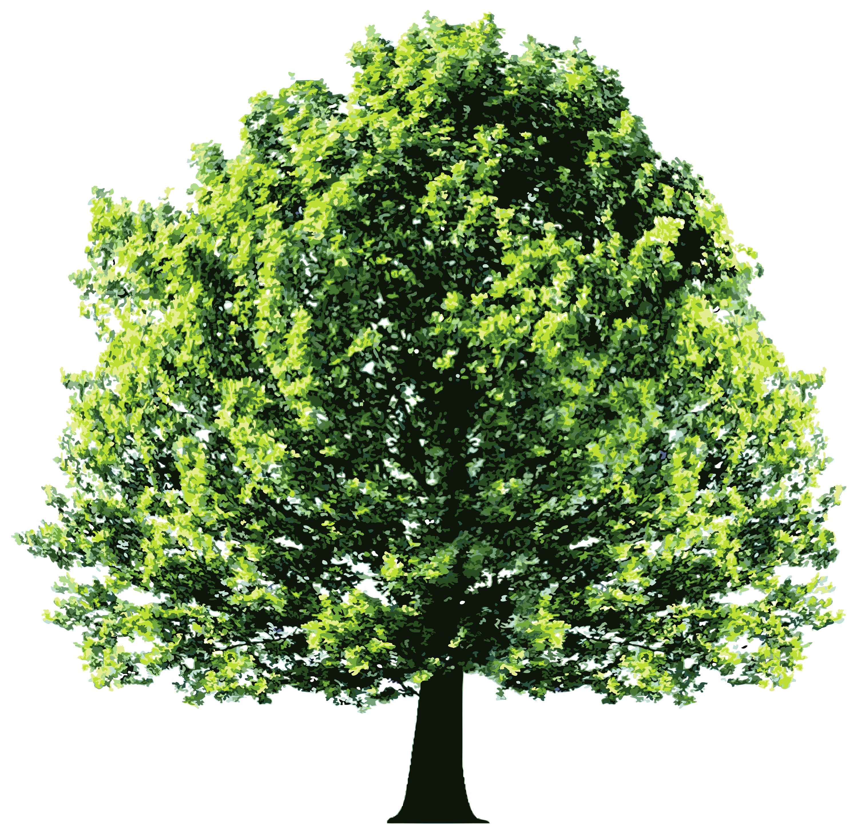 Logo for Clark's Tree Service, LLC