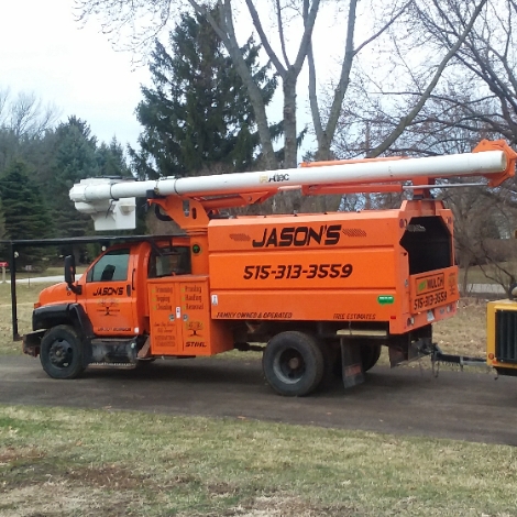 Avatar for Jason's Tree Service