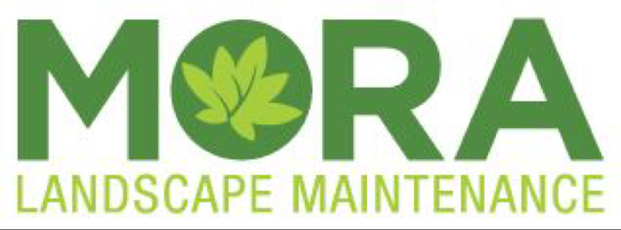 Logo for Mora Landscape Maintenance