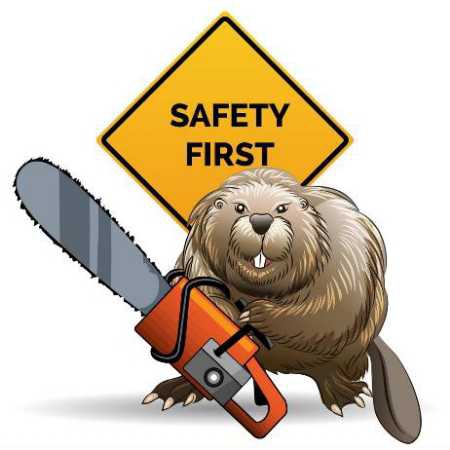 Avatar for 3J&G Tree Service LLC