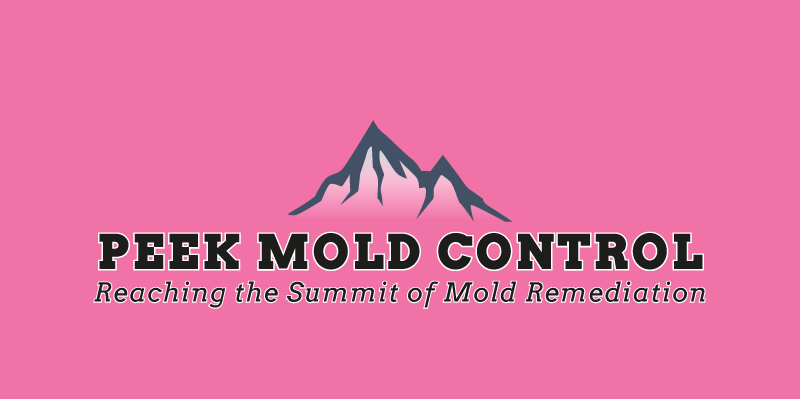 Logo for Peek Mold Control