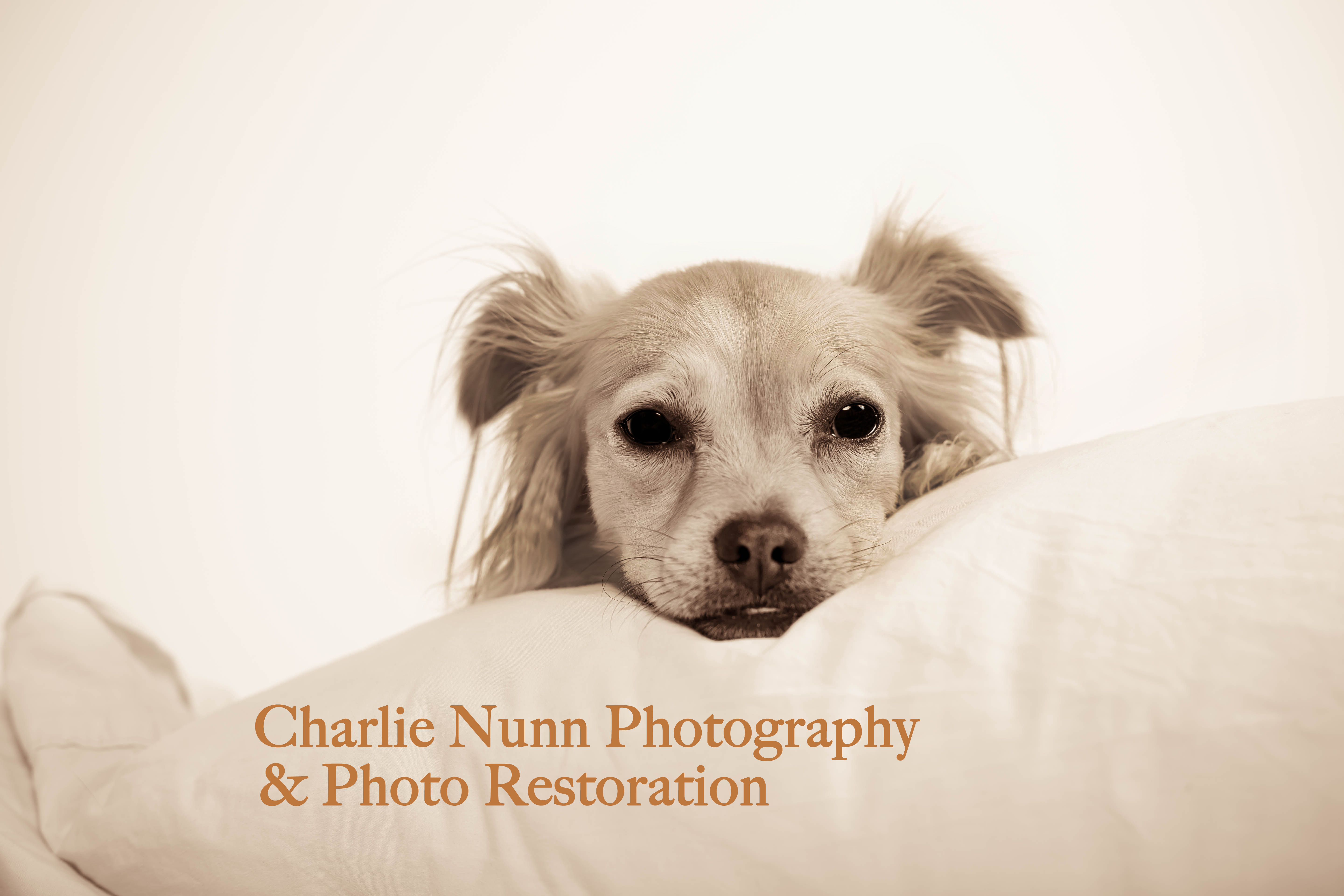 Logo for Charlie Nunn Photography