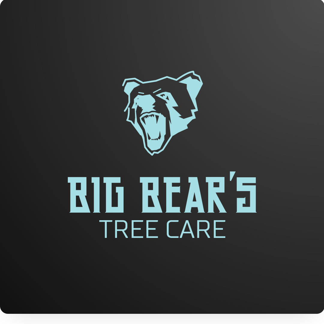 Logo for Big Bear's Tree Care