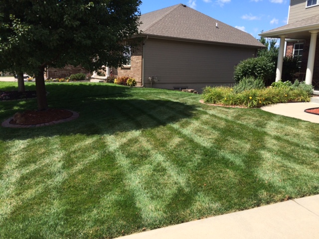 Logo for Seykora Lawn Care