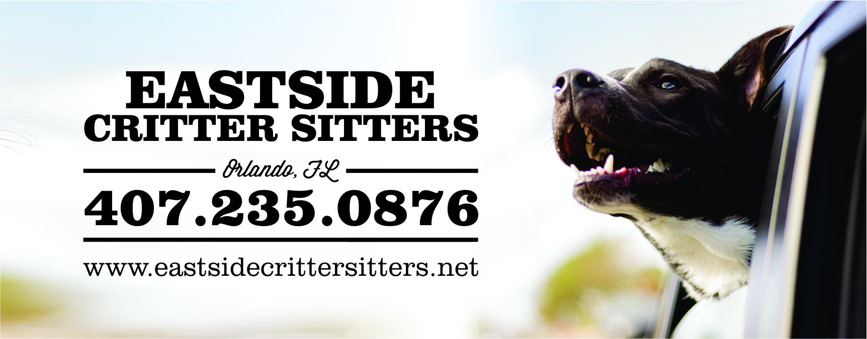 Logo for Eastside Critter Sitters