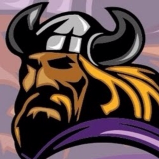 Avatar for Viking Services Inc