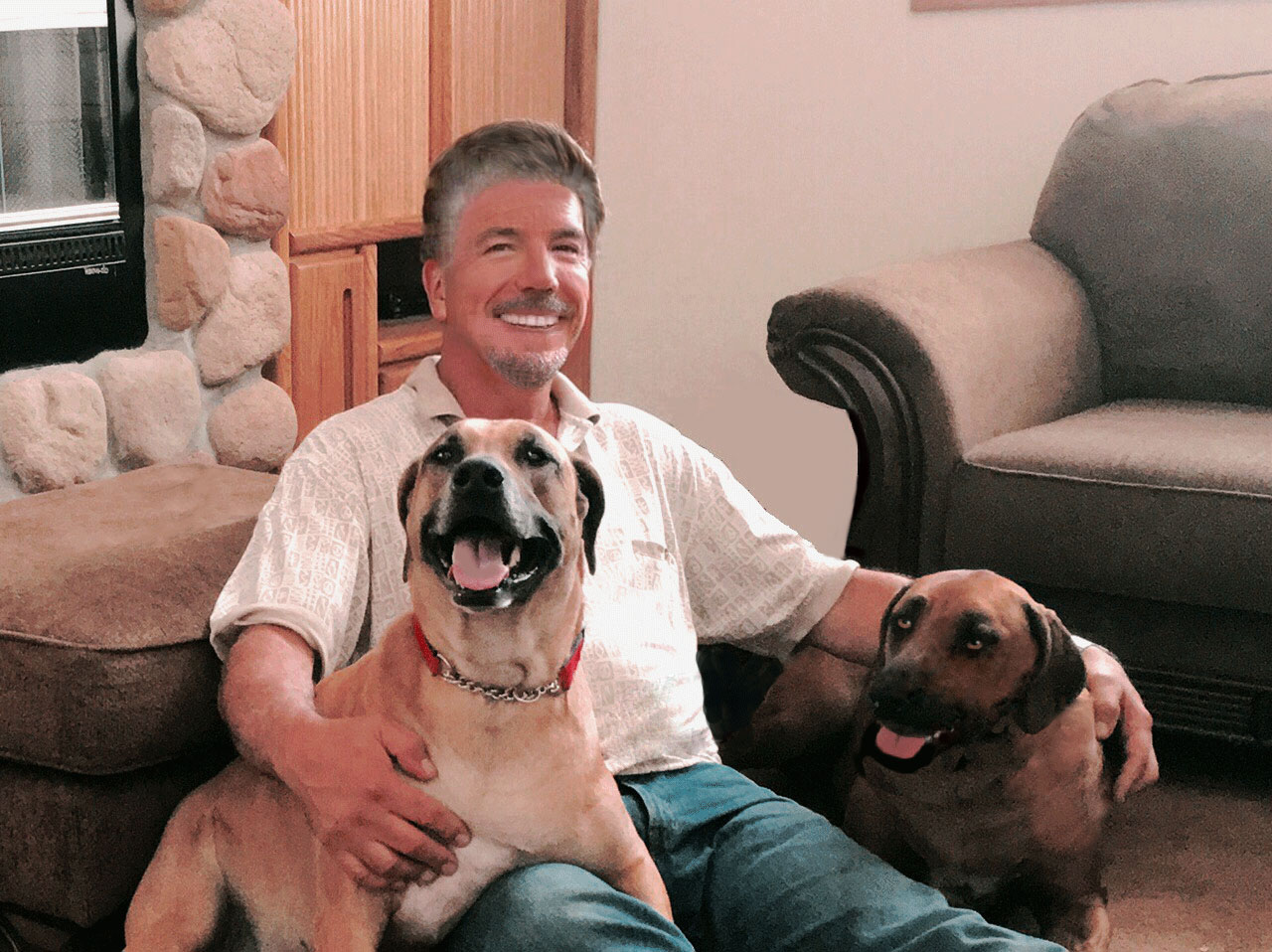 Logo for DARA In Home Dog Training