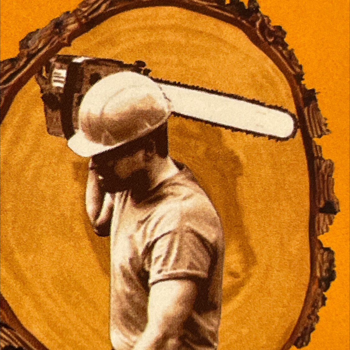 Fair Tree Services Stump Removal and Landscaping logo