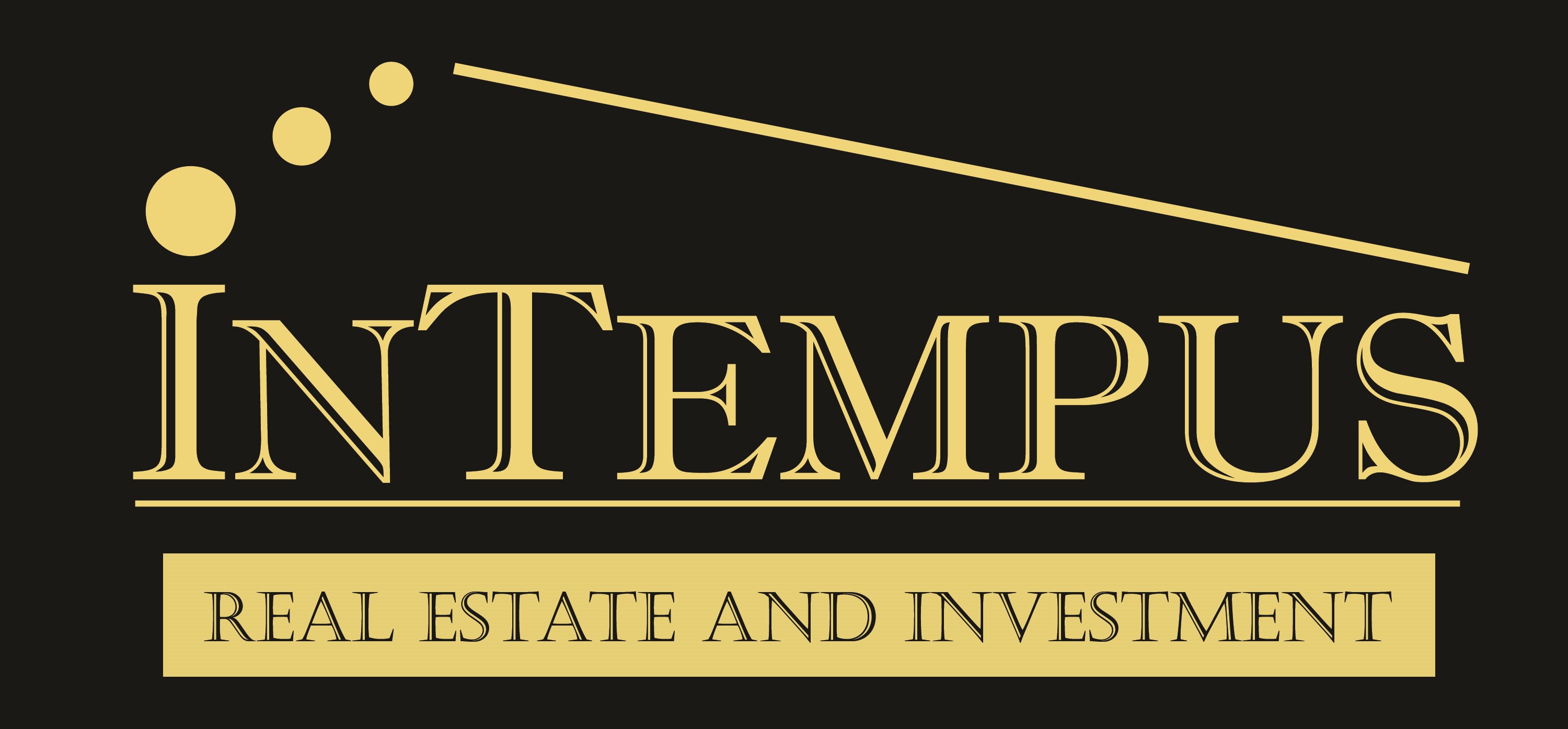 Intempus Realty logo