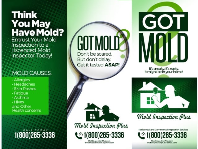 Avatar for Mold Inspection Plus