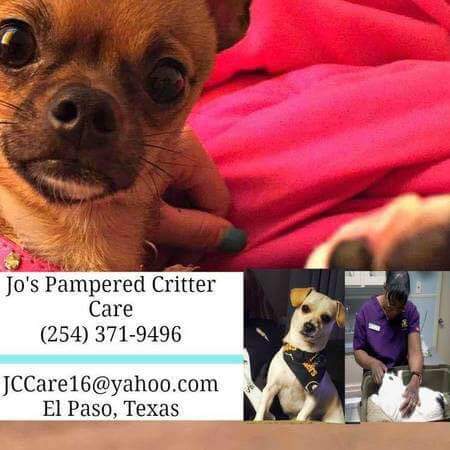 Logo for Jo's Pampered Critter Care