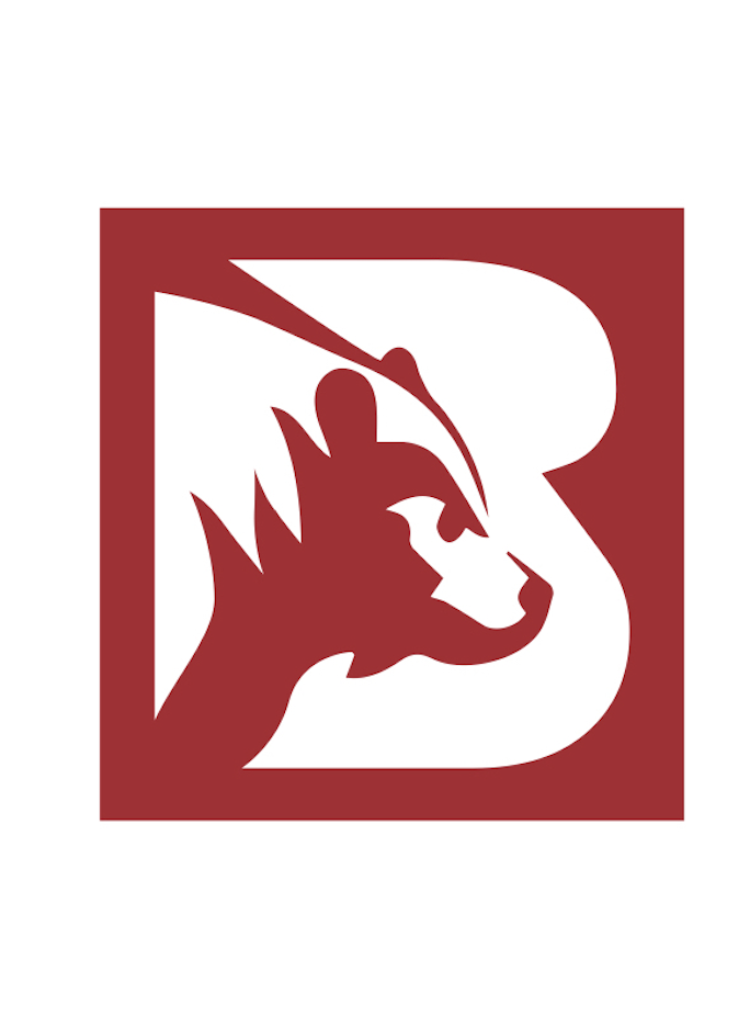 Big Bear Roofing logo