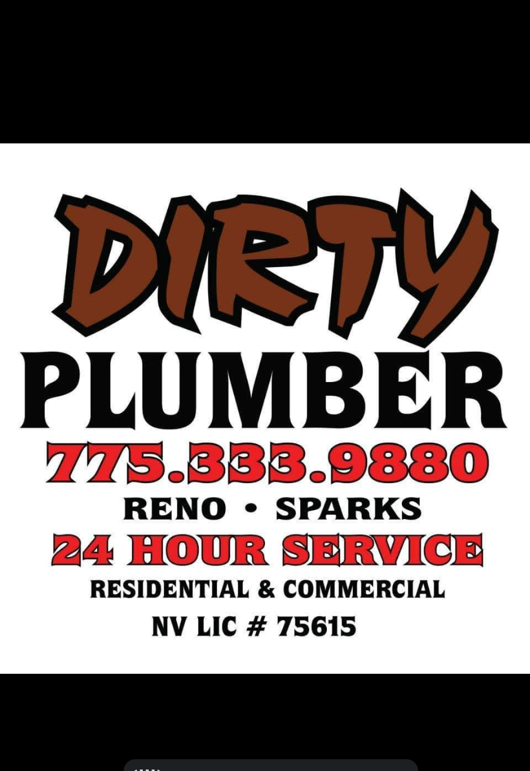 Logo for Dirty Plumber