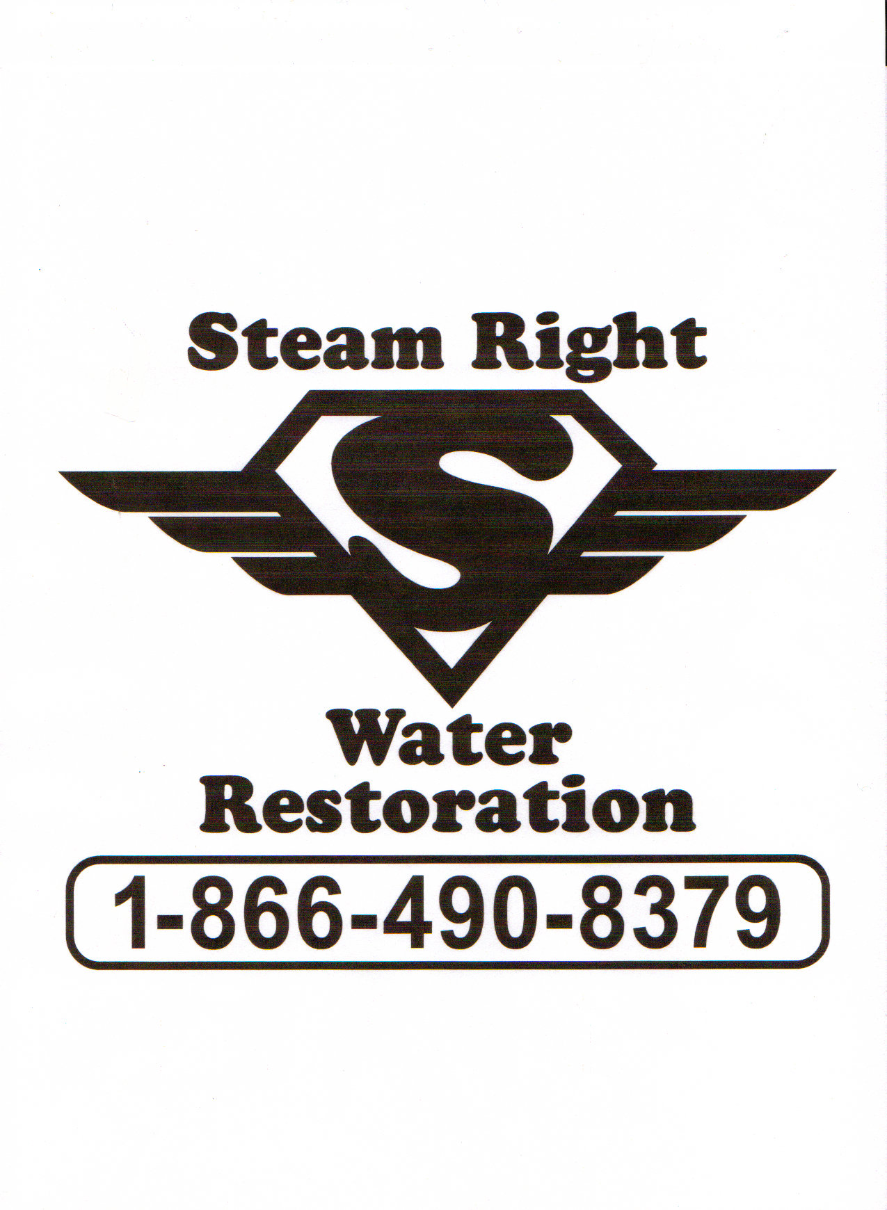 Logo for Steam Right