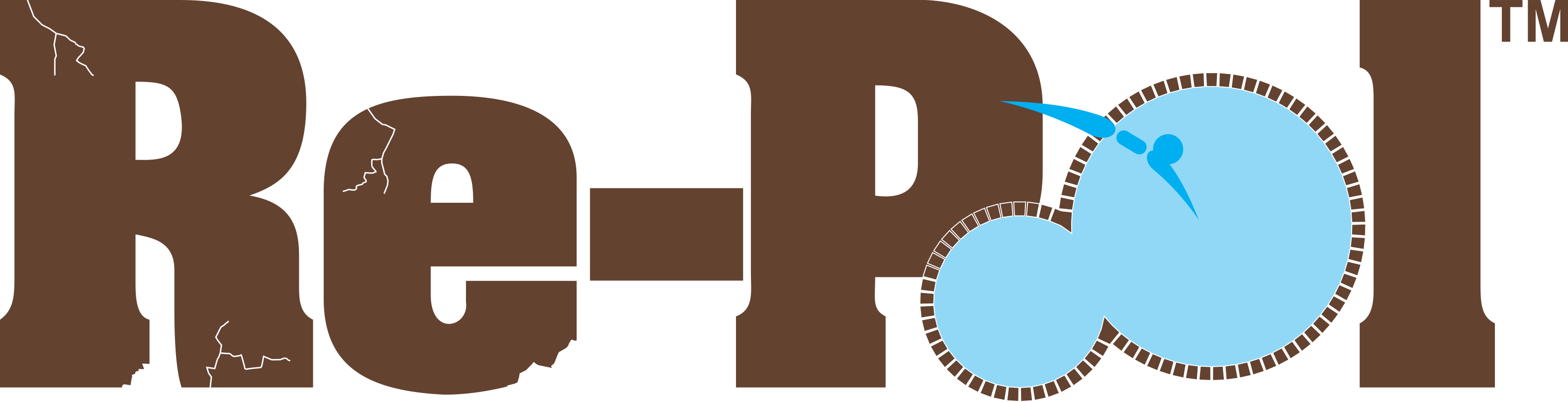 Re-Pool Master logo