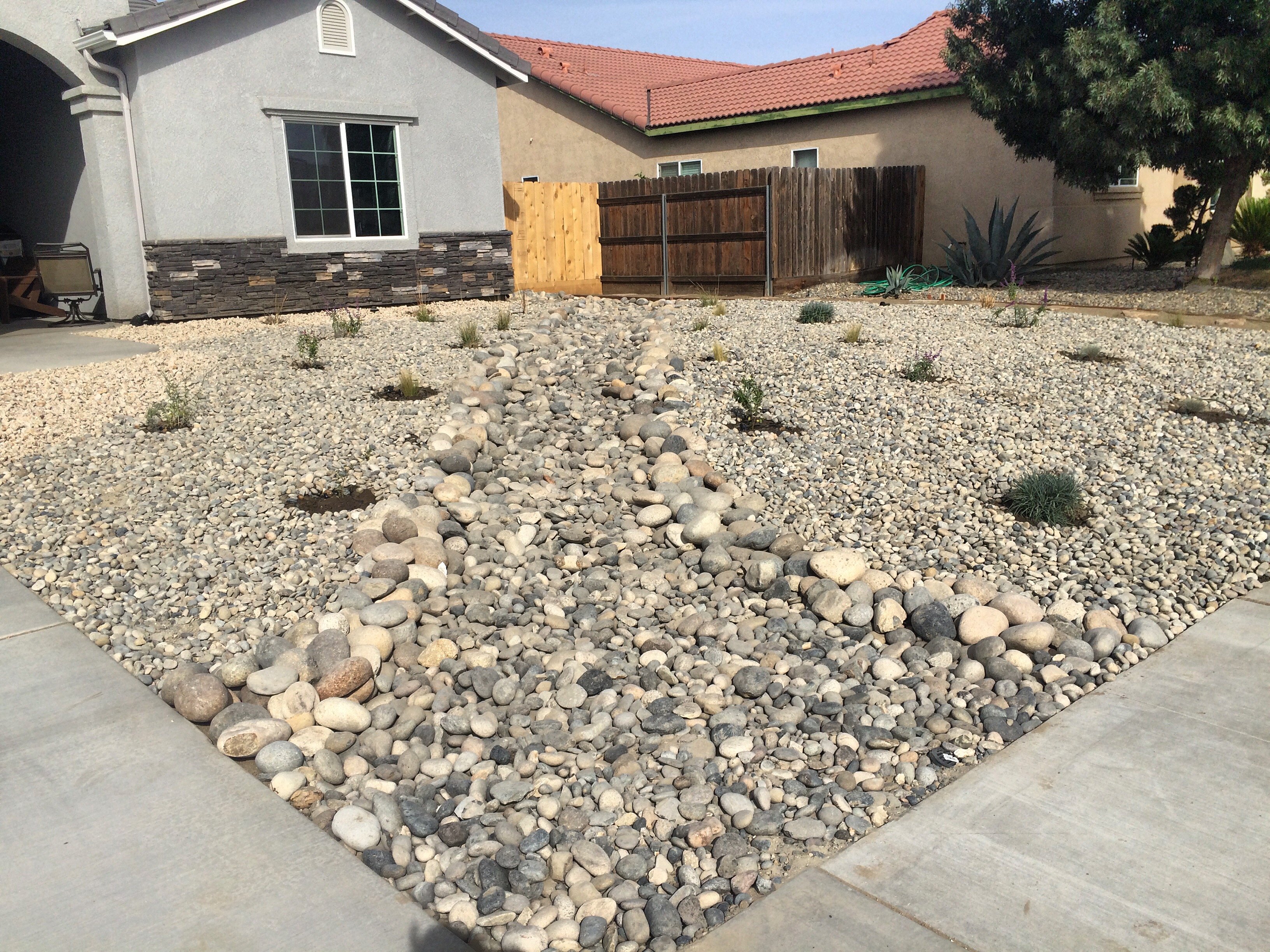 Avatar for Picture Perfect Lawn