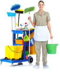 houston Cleaning Squad logo