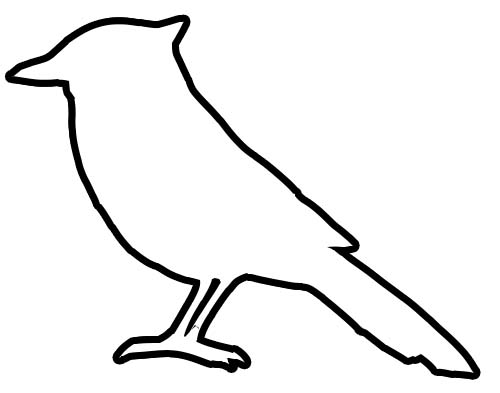 Logo for Blue Jay Construction