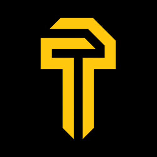 Logo for Protech Security Co.