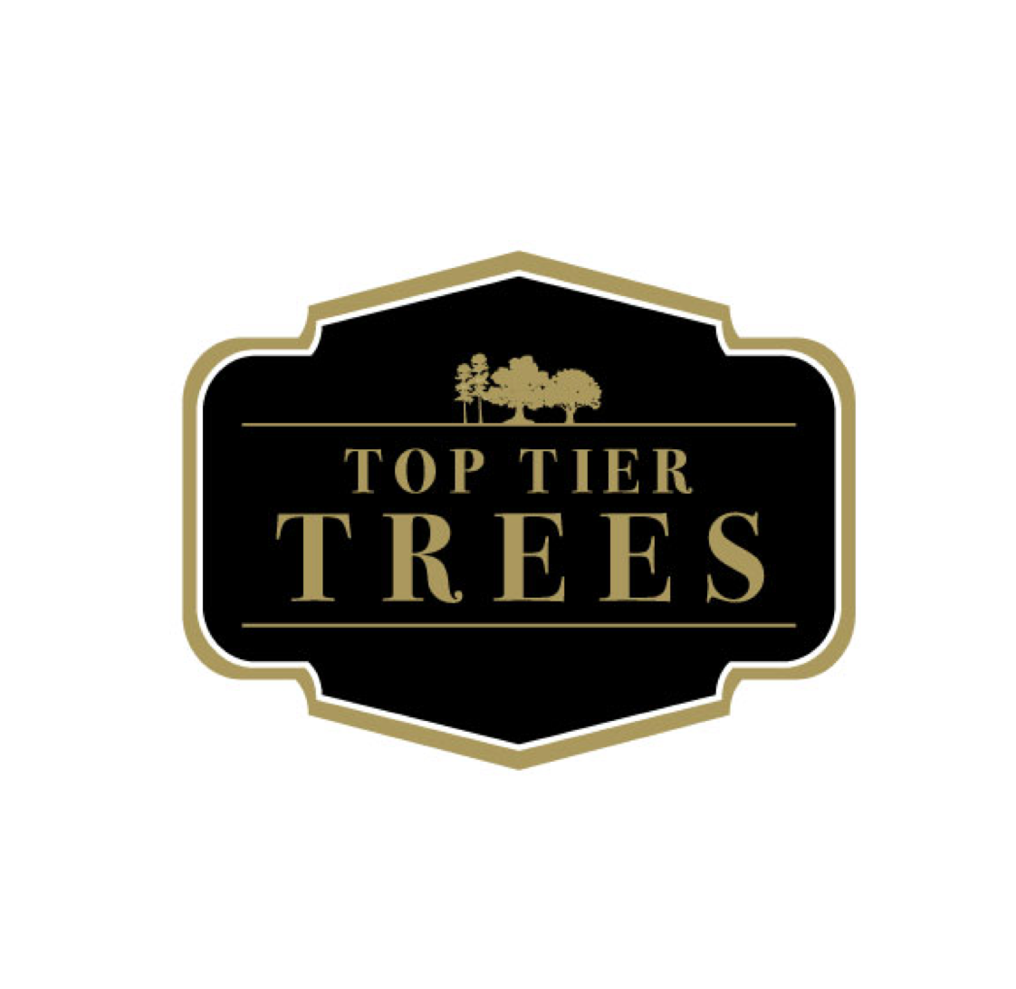 Logo for Top Tier Trees