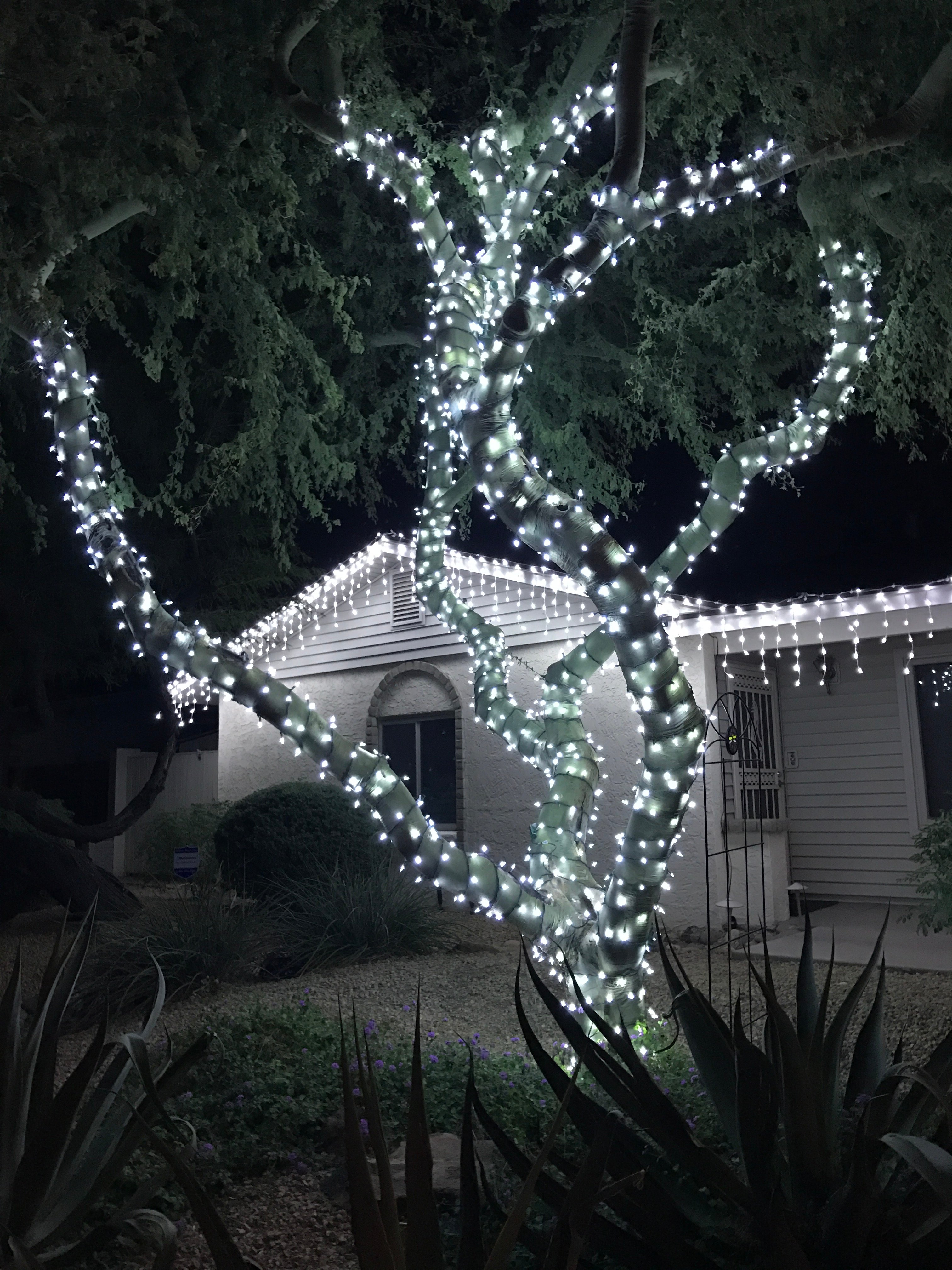 Avatar for Magic Touch Holiday Lighting