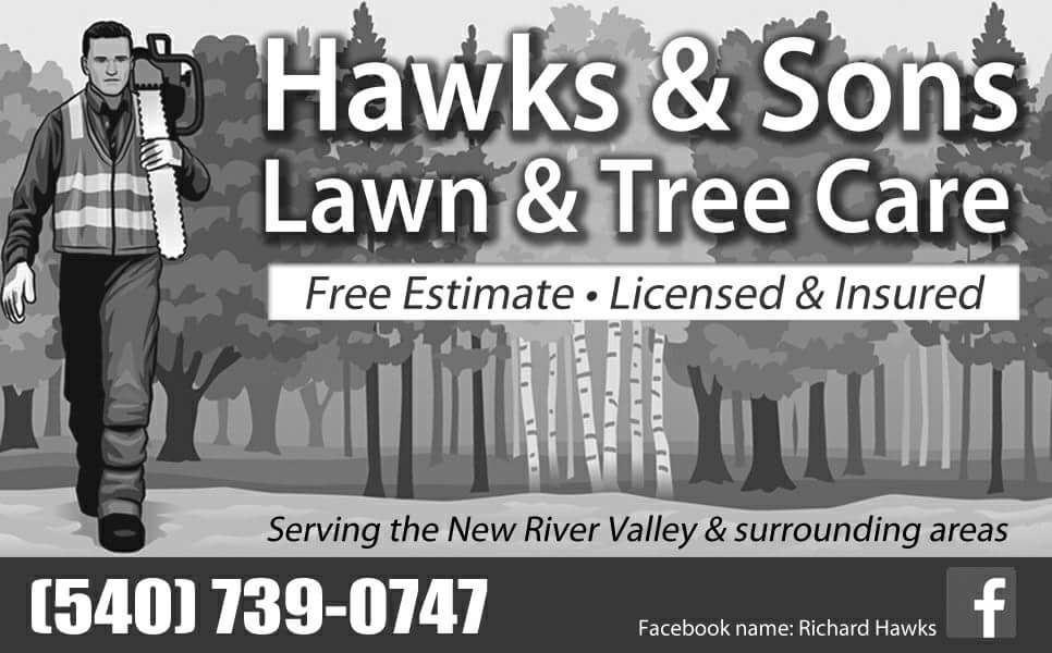 HAWKS & SONS LAWN & TREE CARE logo