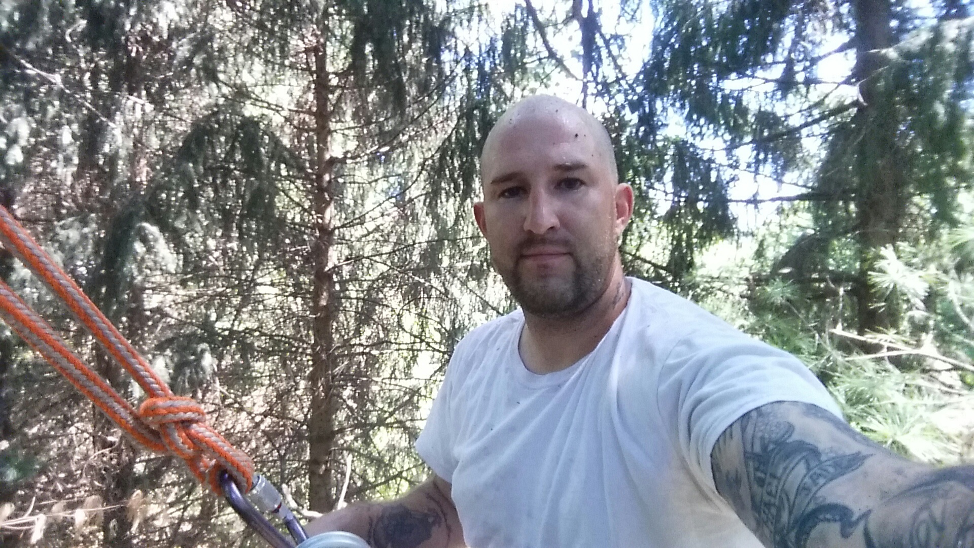 Avatar for Eugene Barringer Tree Service