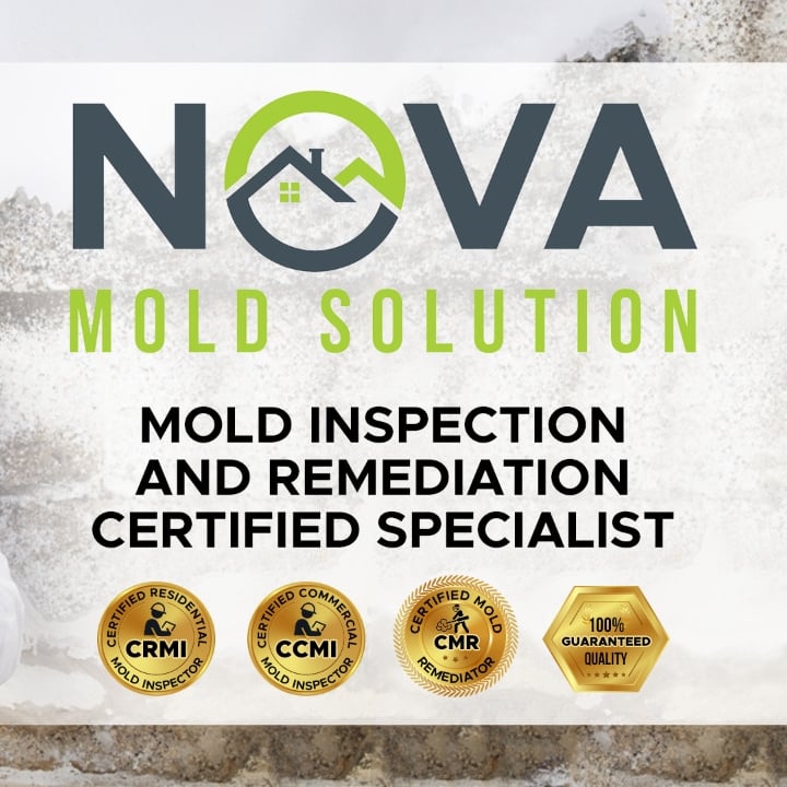 Logo for Nova Mold Solutions