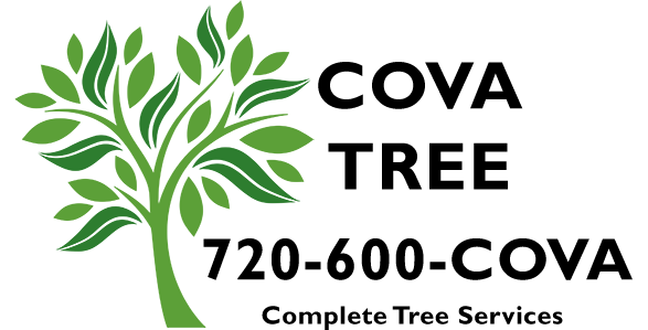 Logo for COVA Tree