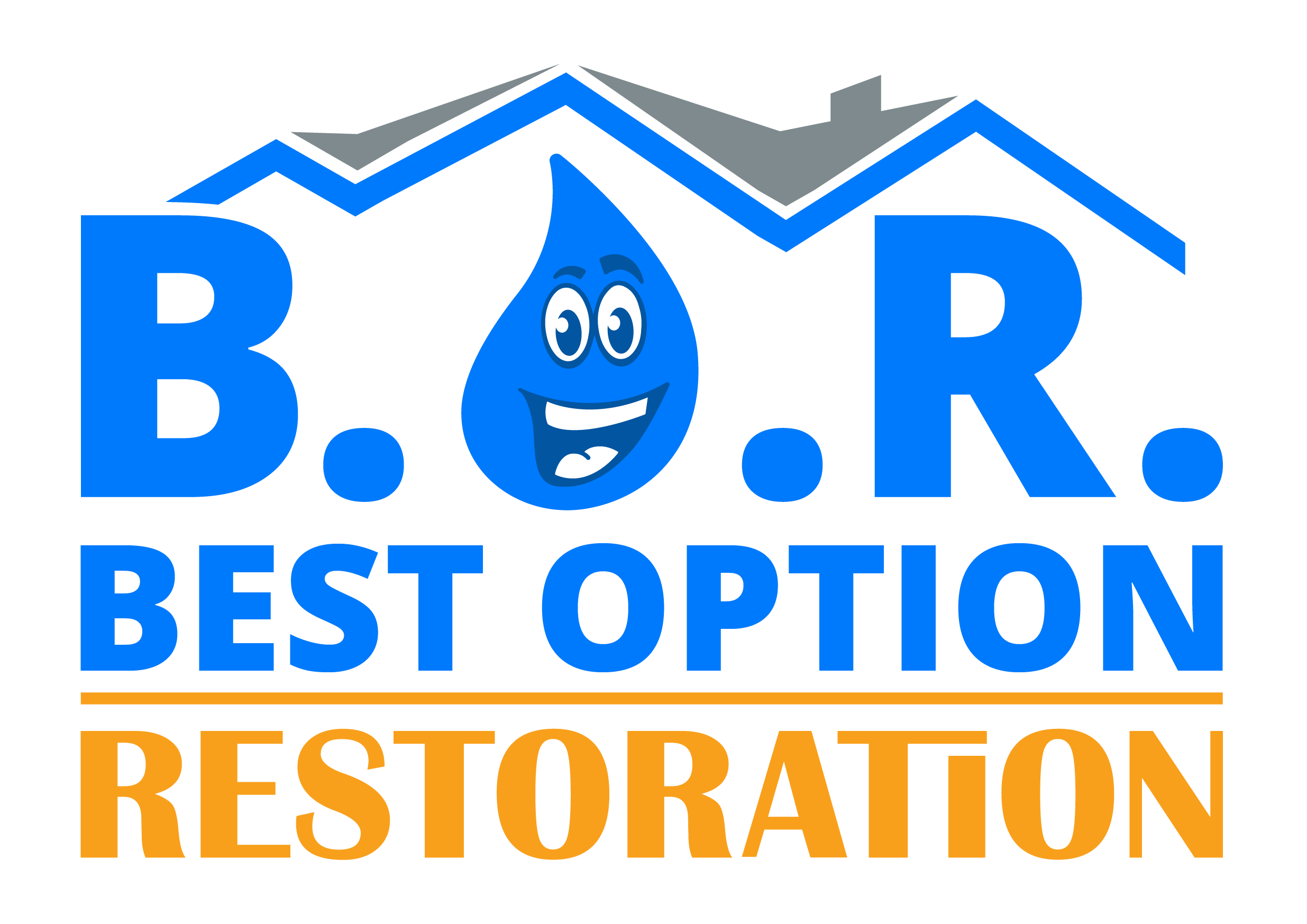 Avatar for Best Option Restoration - East Louisville