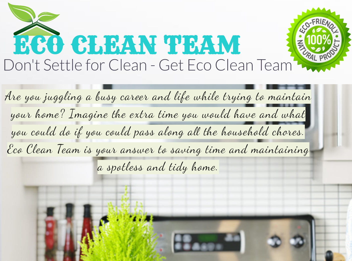 Logo for Eco Clean Team