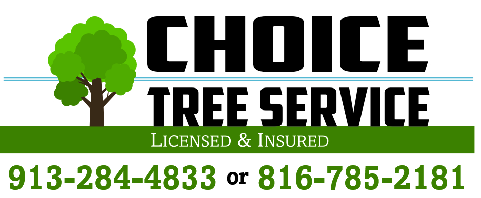 Choice Tree Service logo