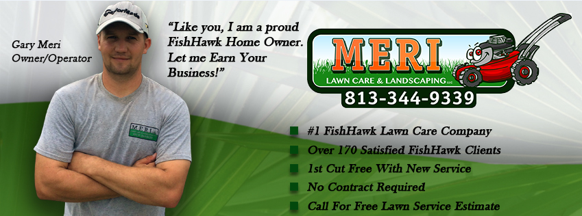 Meri Lawn Care logo