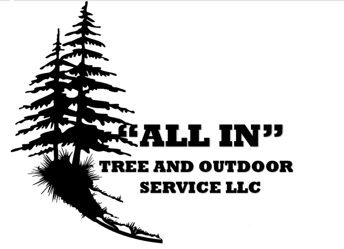 "All In" Tree and Outdoor Service LLC logo