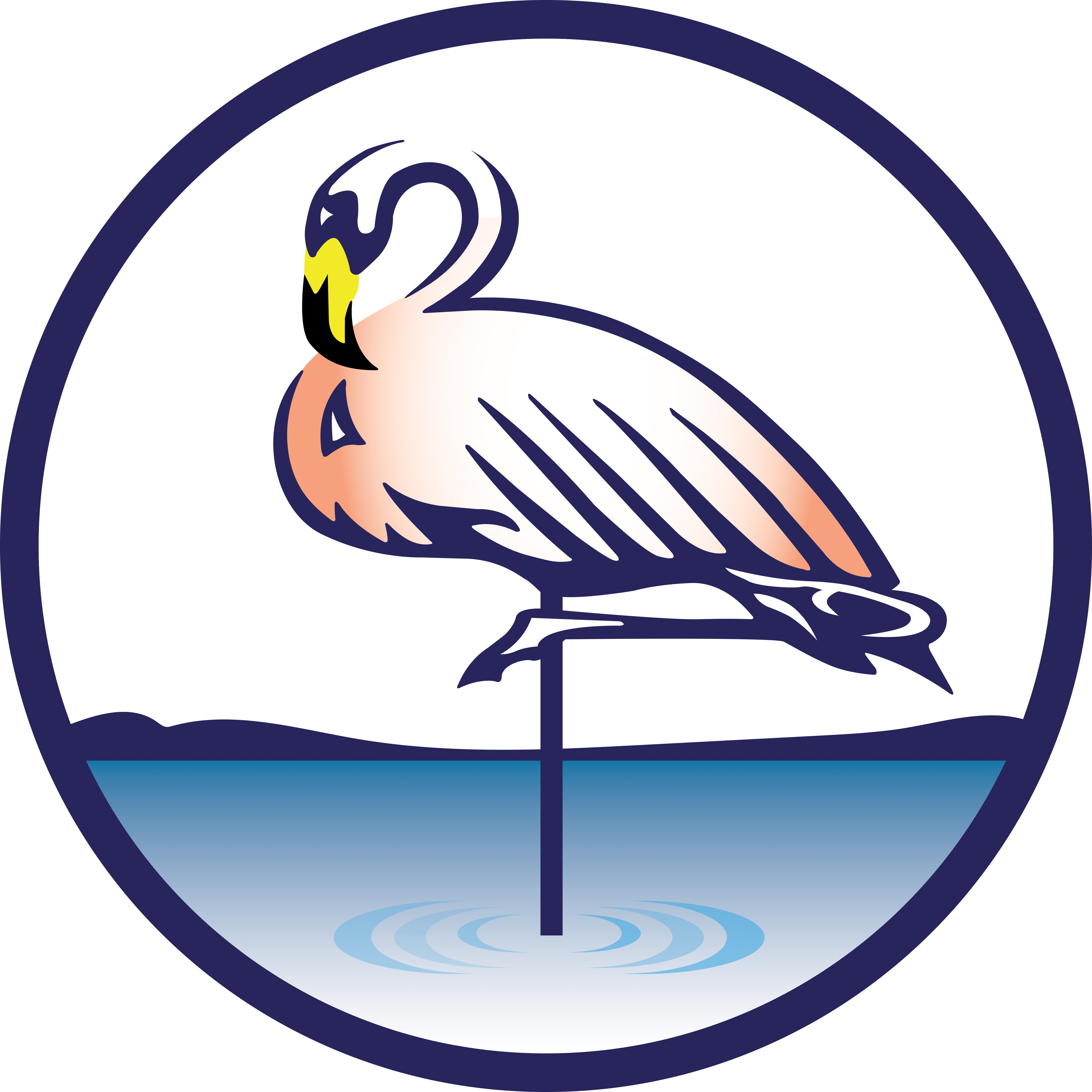 Step Into Liquid Pool Care, LLC logo
