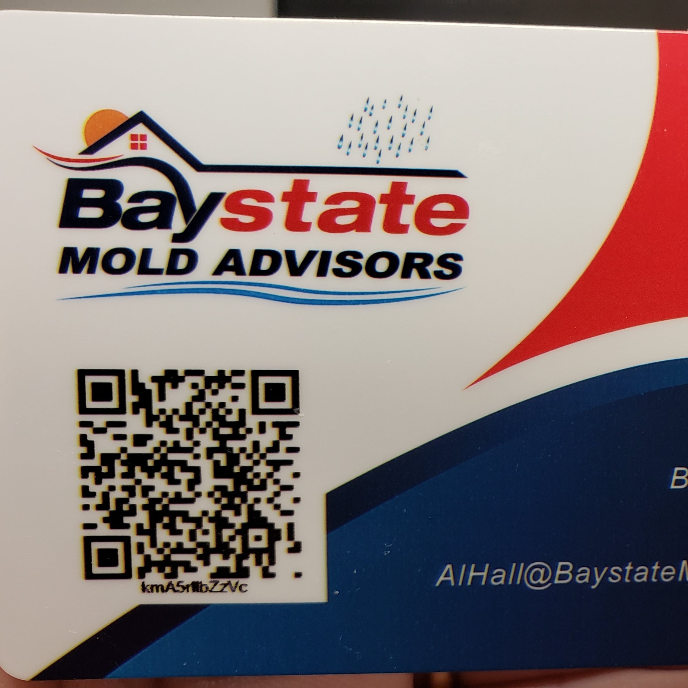 Baystate Mold Advisors logo