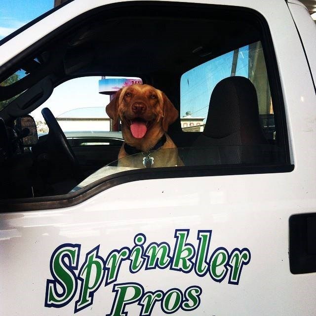 Sprinkler Pros logo