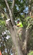 Avatar for Champion Tree Care LLC