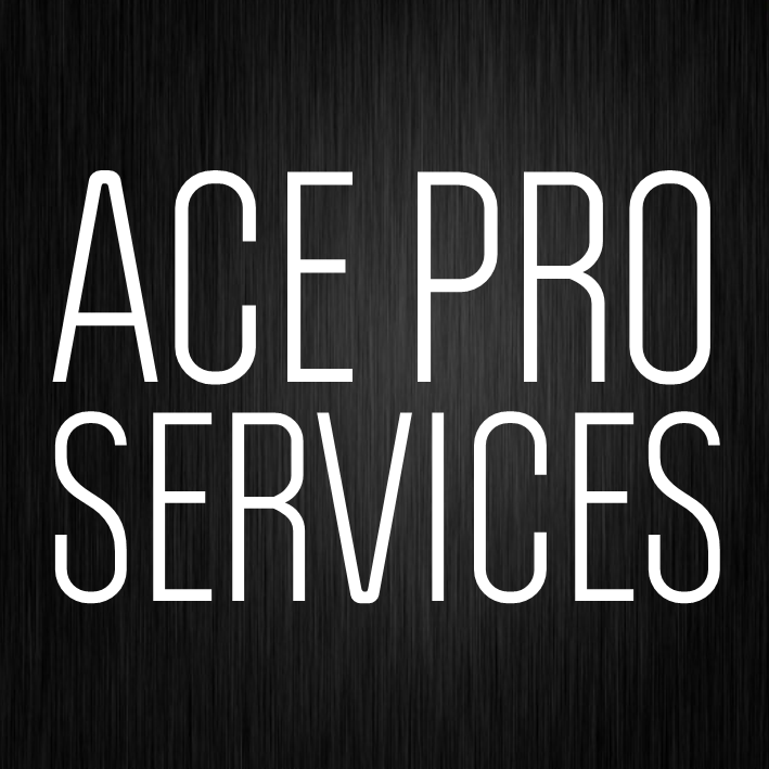 Ace Pro Services LLC logo