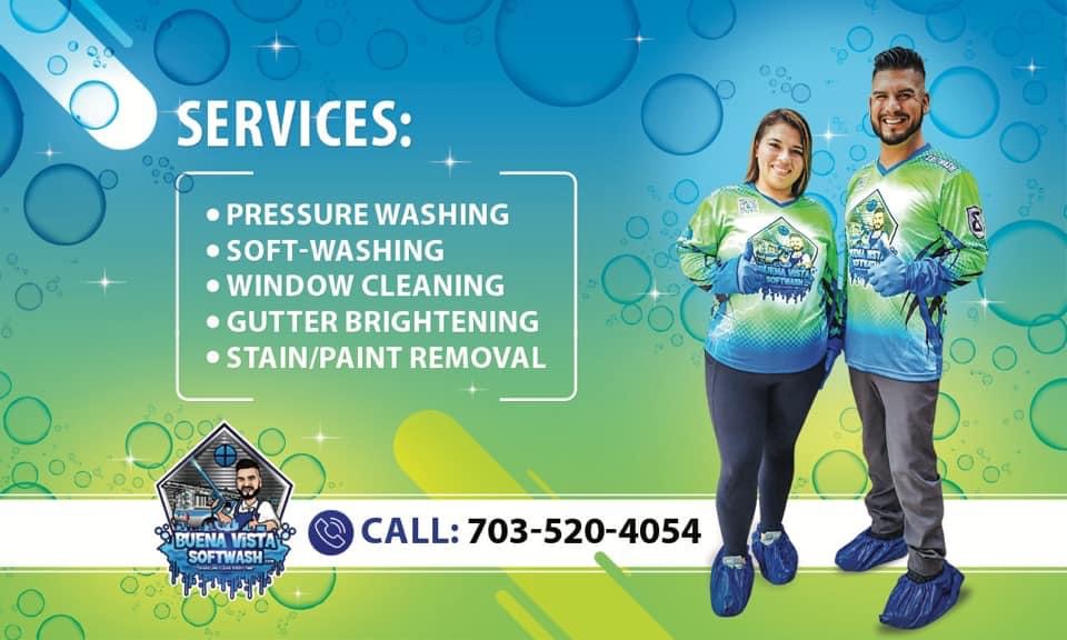 Logo for Buena Vista Window Cleaning