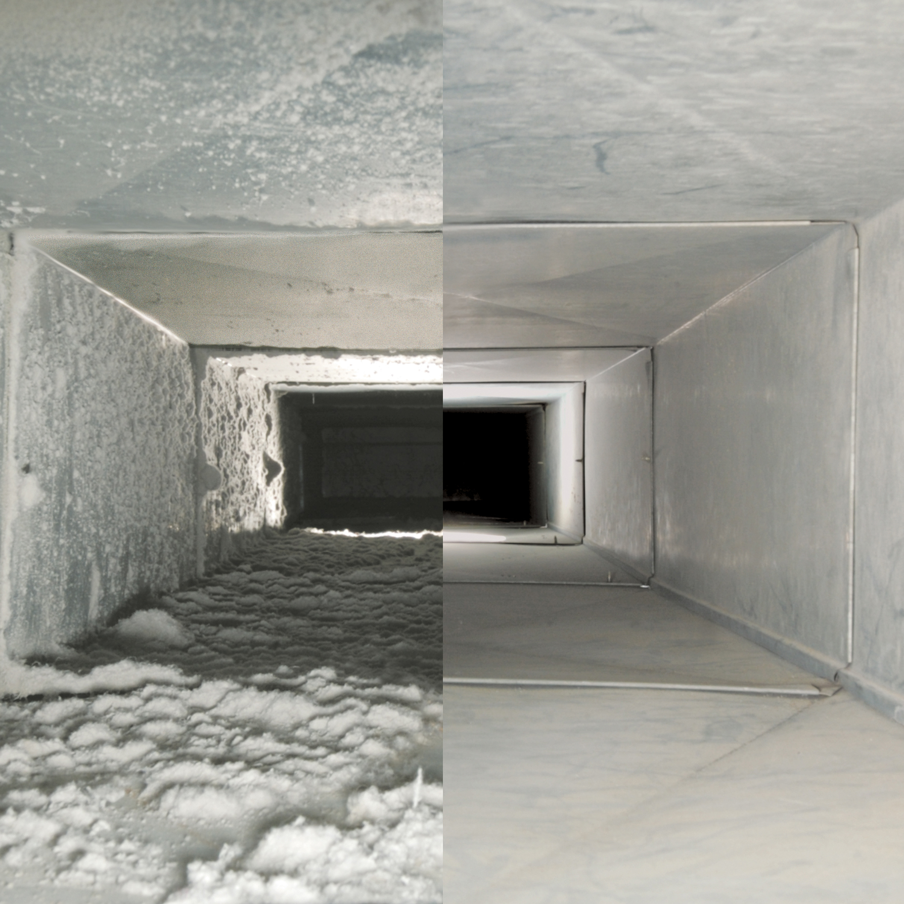 Avatar for Mold Air Care